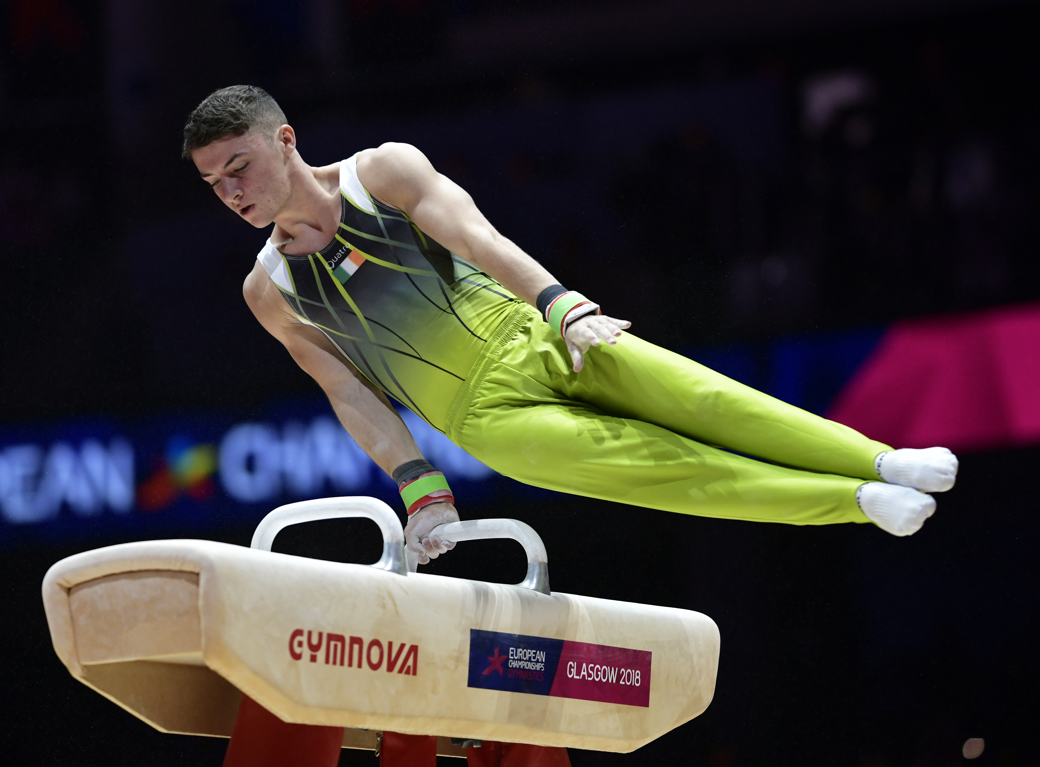 Pommel horse