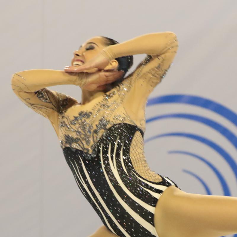 2017 Aerobics European Championships