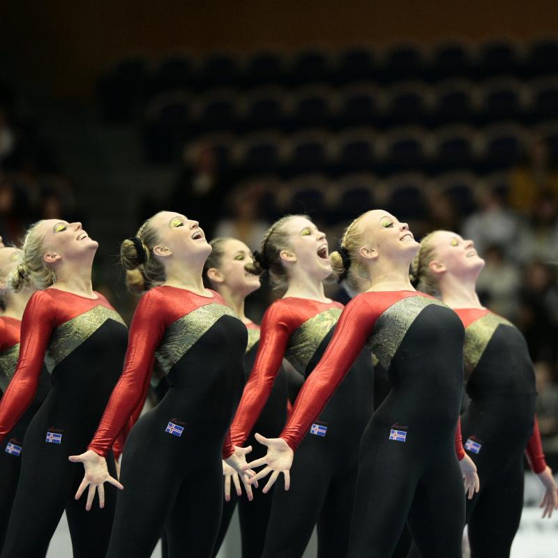 2014 European TeamGym Championships