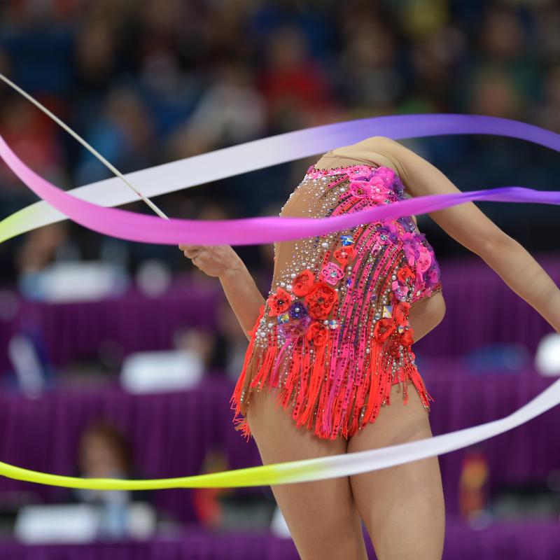 2014 European Rhythmic Gymnastics Championships