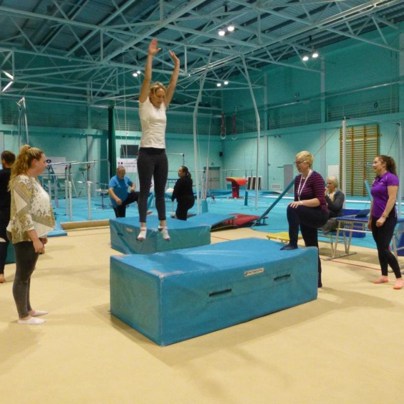 2015 Gymnastics for Fun seminar