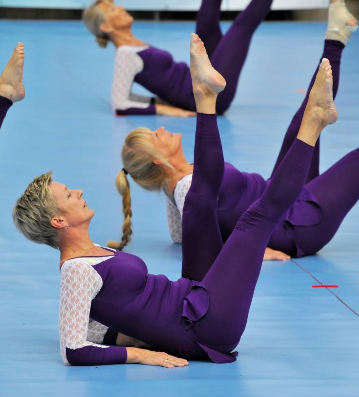 2014 Golden Age Gym Festival