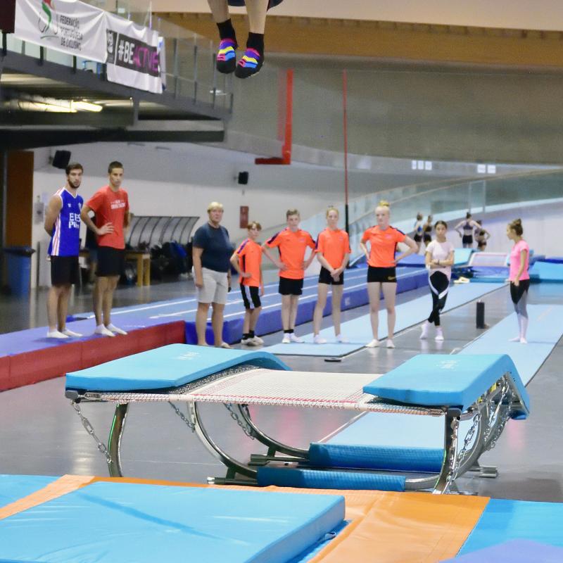 DMT European Gymnastics