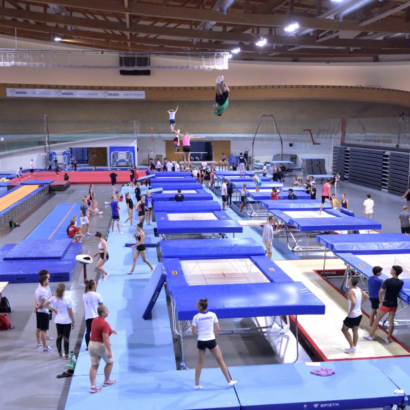 Training camp in trampoline disciplines