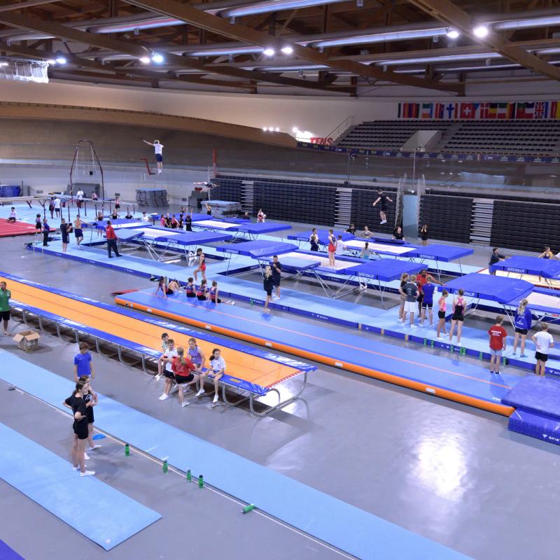 Training Camp in trampoline disciplines
