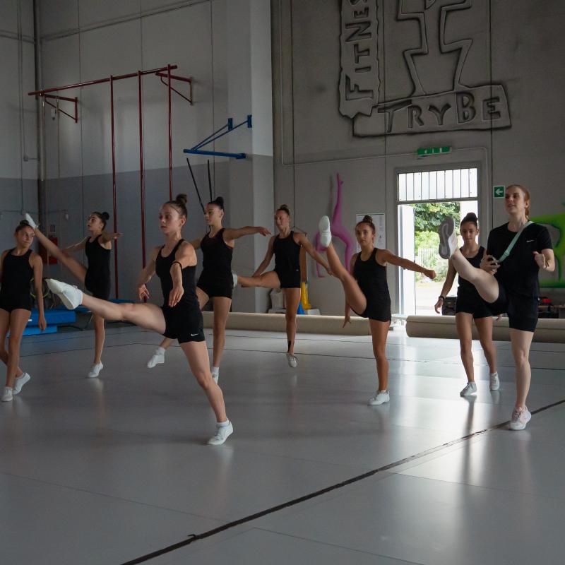 Training Camp in Aerobic Gymnastics