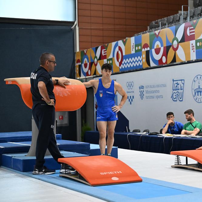 Male gymnasts training