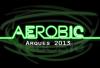 logo AER 2013