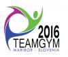 logo TeamGym 2016